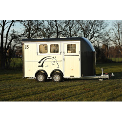 Doppelachsiger gebremster...