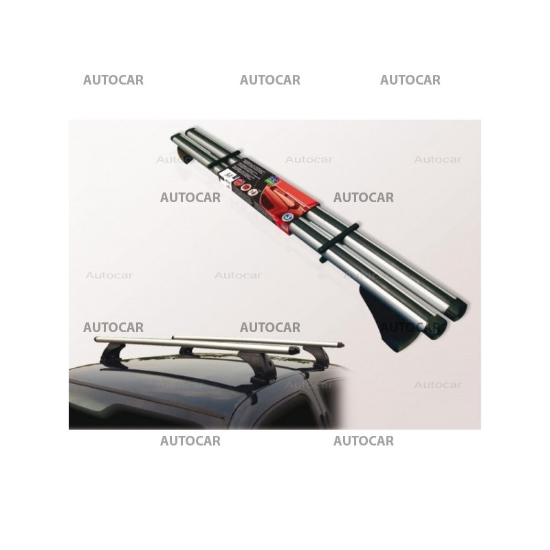 Dachträger Green Valley - Aurilis - aluminium